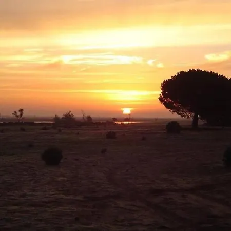 La De Doñana * El Rocío